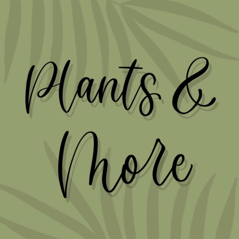 Plants & More